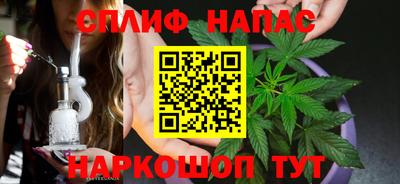СК Сланцы