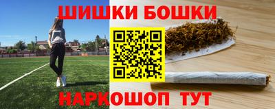 СК Сланцы